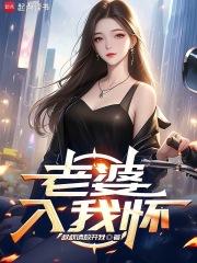 老婆入我怀章节列表