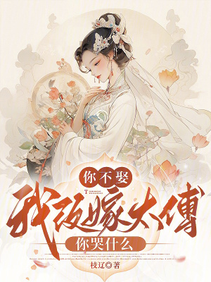 你不娶，我改嫁太傅你哭什么章节列表