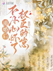 退婚后，不小心怀了权臣的崽章节列表