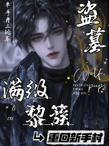 盗墓：满级黎簇重回新手村章节列表