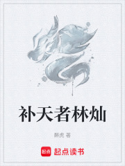 补天者林灿章节列表